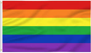 Gay Straight Trans Alliance  (GSTA)