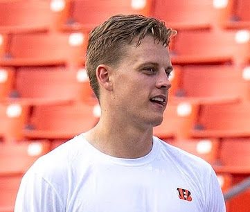 Bengals Previews and Predictions