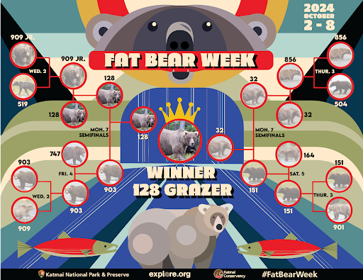 The Big, Beautiful, and Bold: Fat Bear Week 2024