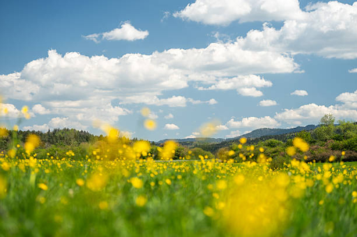 How To Make Your Summer Enjoyable Again 