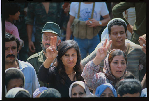 Supposed Ceasefire: The Ongoing Palestine-Israel Conflict