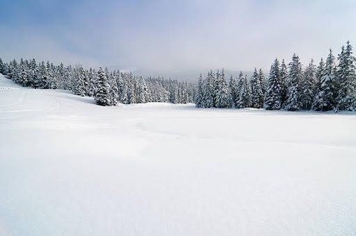 Winter Landscape