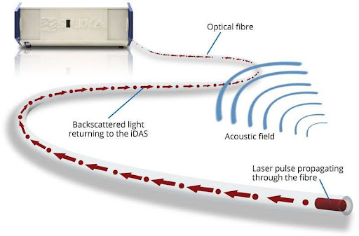 Fiber Orientation Matters
